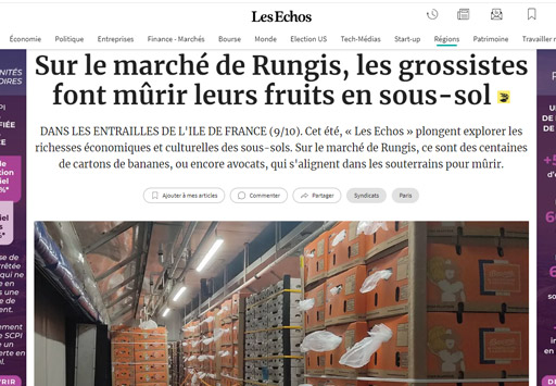 lesechos-murisserie-de-banane-rungis