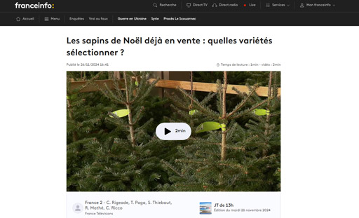 france-info-sapins-de-noel-au-marche-de-rungis